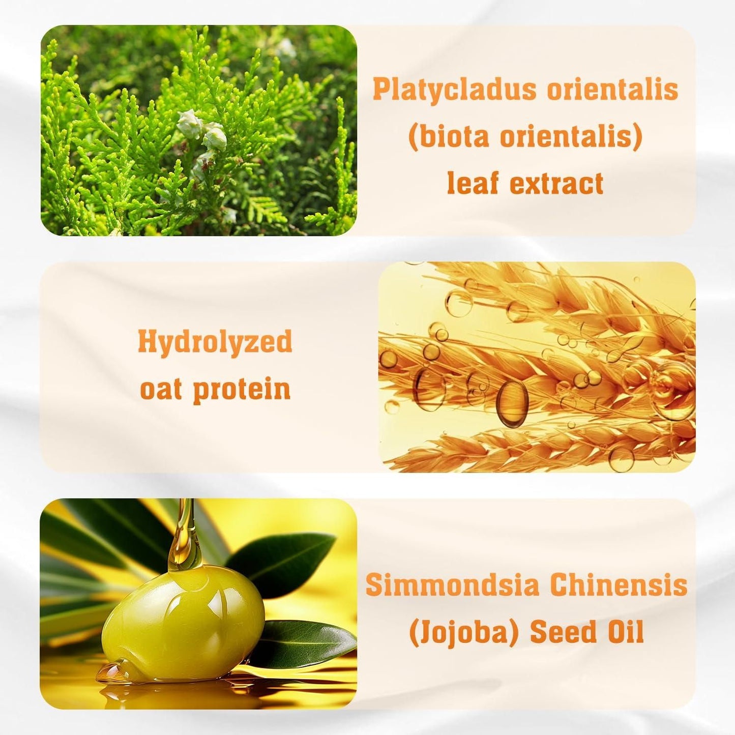 Collection of natural ingredients with labels for Platycladus orientalis, hydrolyzed oat protein, and Simmondsia Chinensis seed oil.